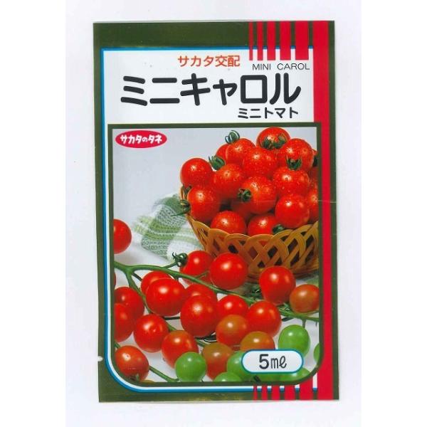 サカタのタネ トマト ミニトマト種 ミニキャロル 5ml（株
