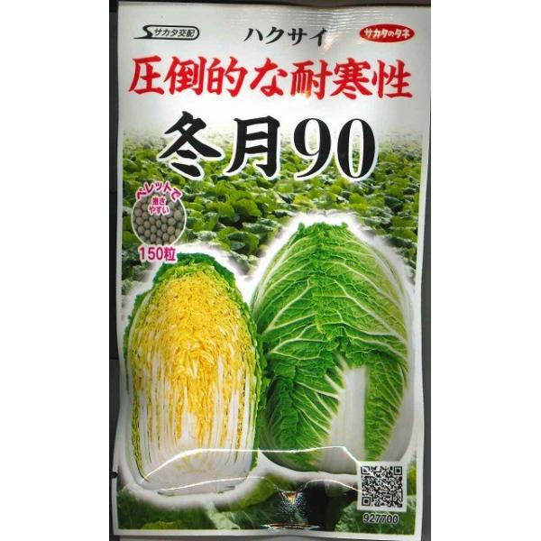 白菜 冬月90 ペレット150粒 (株)サカタのタネ 実咲550 (003171)