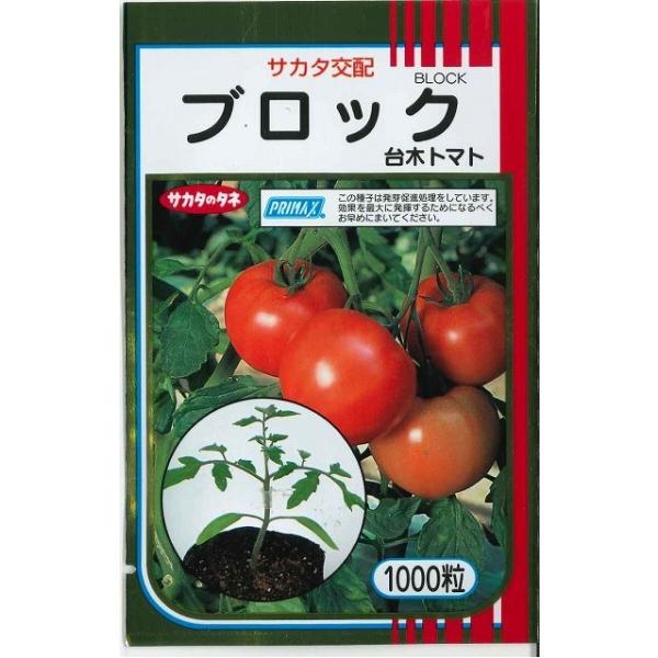 (g}gp) ubN 1000 ijTJ^̃^l