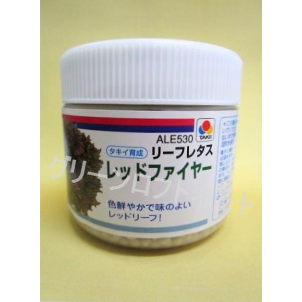 ^X [t^X bht@C[ ybgq5000 ^LCcij