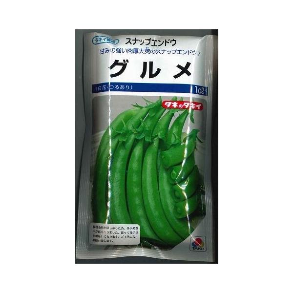 XibvGhE O 1dl ^LCcij