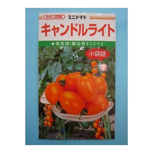 ~jg}g LhCg 100 JlRcij