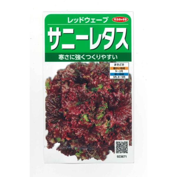 ^X Tj[^X bhEF[u 1200 ijTJ^̃^l 350(003031)