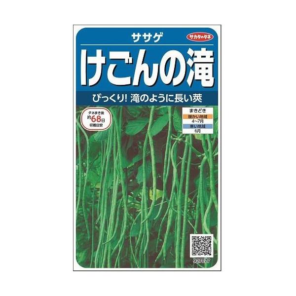 野菜種  ササゲ　けごんの滝　莢は50cmくらい！高温乾燥に強い！種・苗・農業資材品揃え豊富！農家さん御用達のお店　グリーンロフトネモト