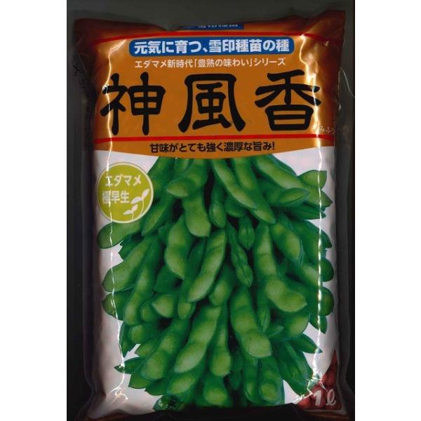 【1kg×19袋入】夏風香（枝豆・えだまめ） 種子 農業 農家 合計19kg 1kg×19袋入】夏風香（枝豆・えだまめ） 種子 農業 農家 合計19kg