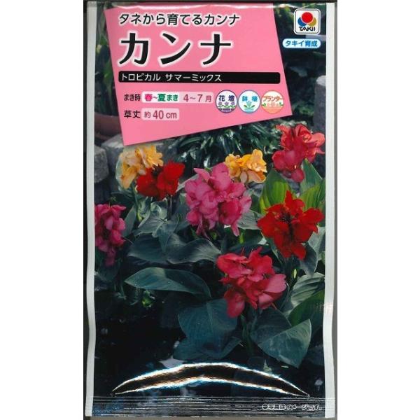 Ԃ̎ Ji gsJT}[~bNX  ^LCcij(mL300)