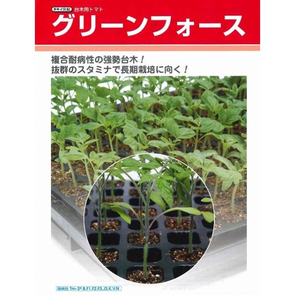 (g}gp) O[tH[X ybgq1000(qTCY:2L) ^LCcij