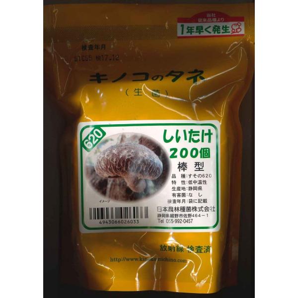 green-loft_2018020116