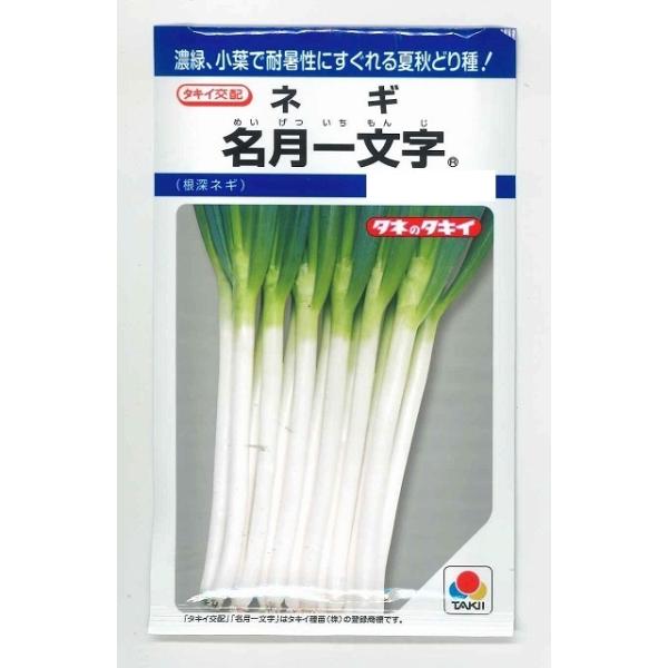 ˂ ꕶ 6ml ^LCcij DF