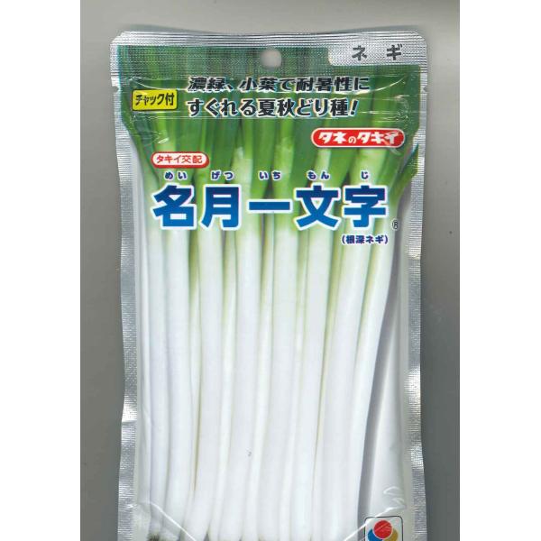 ねぎ 名月一文字 1ｄｌ タキイ交配 グリーンロフトネモト 通販 Yahoo ショッピング
