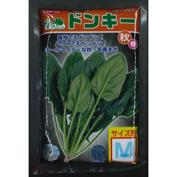 ق񂻂 hL[ 3(qTCY:M) ijTJ^̃^l