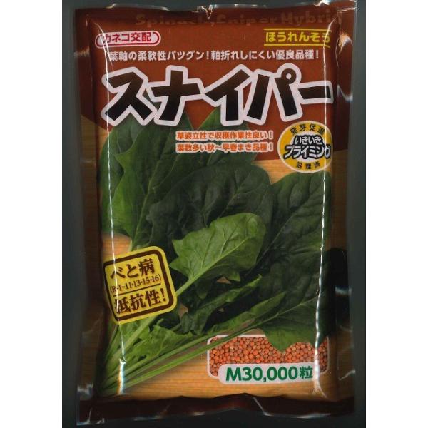 ق񂻂 XiCp[ 3(qTCY:M) JlRcij