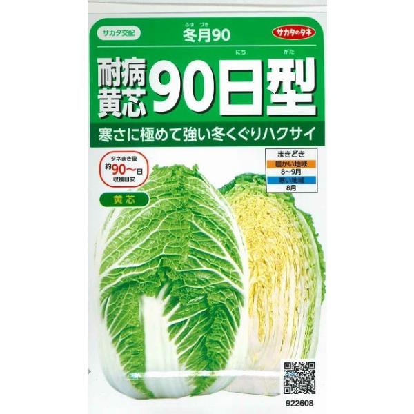冬月90