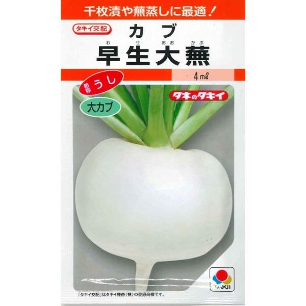  啓  3.5ml ^LCcij RF