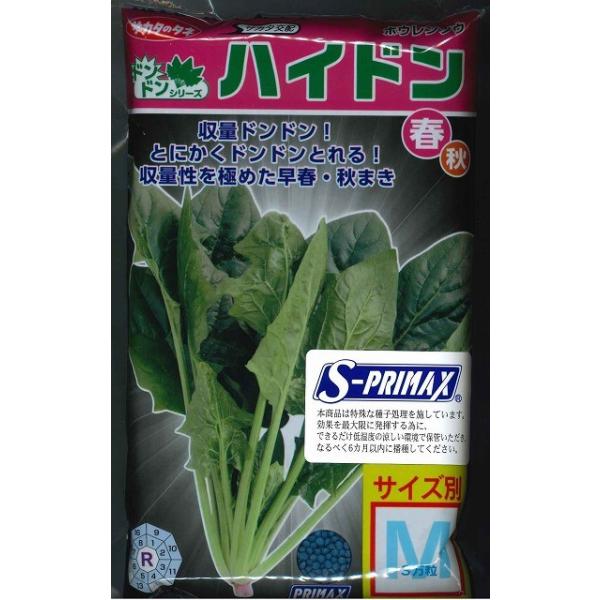 ق񂻂 nCh 3(qTCY:M) ijTJ^̃^l