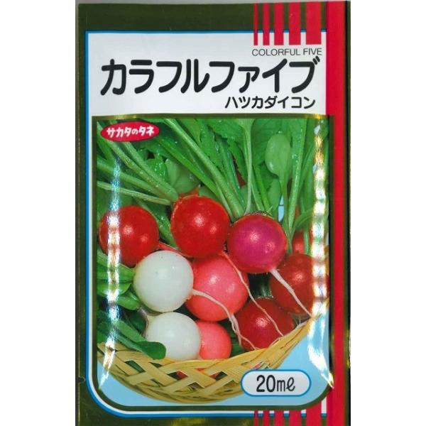 \卪 ͂ Jtt@Cu 20ml ijTJ^̃^l