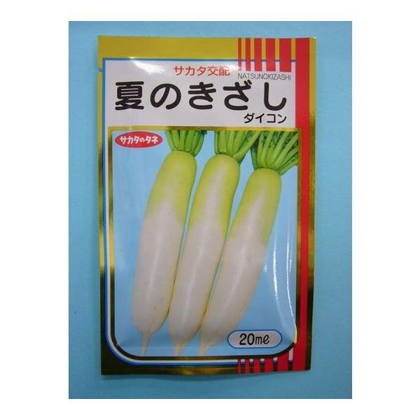 卪 Ă̂ 2dl TJ^̃^l