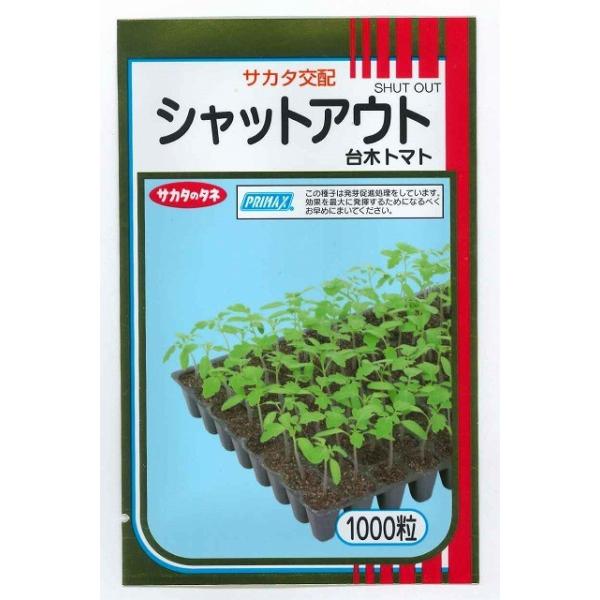 (g}gp) VbgAEg 1000 ijTJ^̃^l