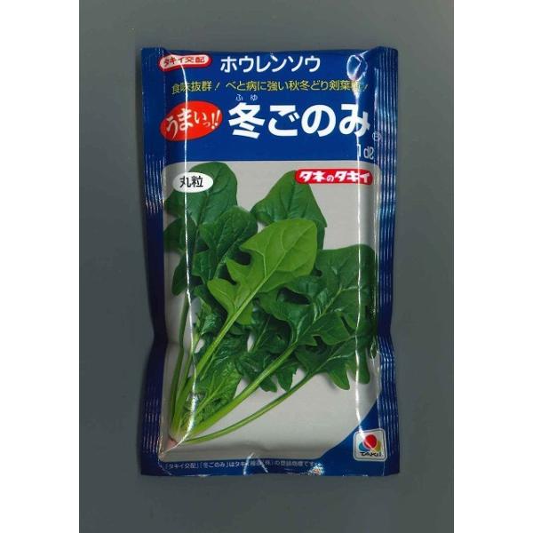 ق񂻂 ~̂ 1dl ^LCcij