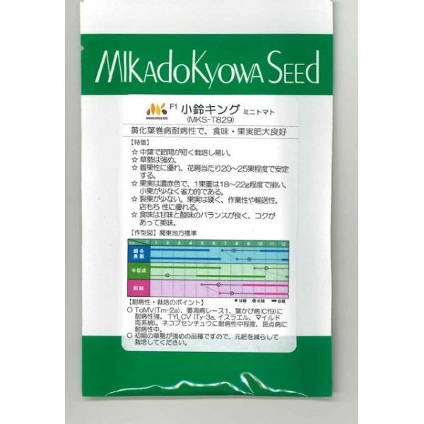 ~jg}g  LO 1000 B݂ǁij