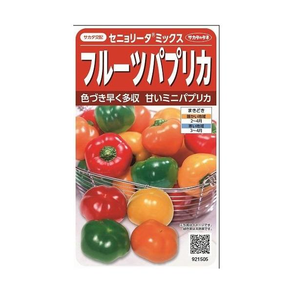 s[} t[cpvJ Zj[^~bNX 10 ijTJ^̃^l 550i002904j