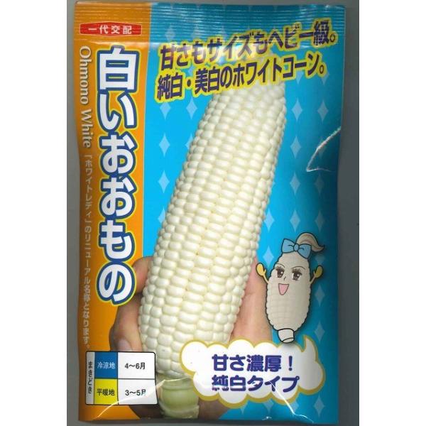 野菜種  とうもろこし　白いおおもの　ホワイトレディー　このボリューム感と食味はまさに白い「おおもの」 純白・美白のホワイトコーン。種・苗・農業資材品揃え豊富！農家さん御用達のお店　グリーンロフトネモト