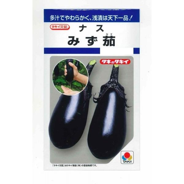 なす みず茄50粒 タキイ種苗（株） DF : グリーンロフトネモト