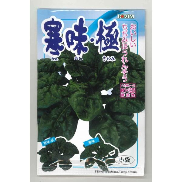 ほうれん草 寒味 極 30ml ダイヤ交配 グリーンロフトネモト 通販 Yahoo ショッピング
