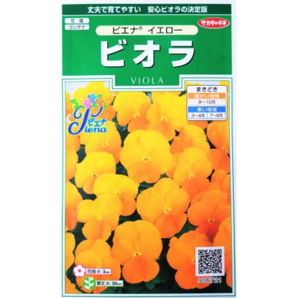 Ԃ̎ rI sGi CG[ 20 ijTJ^̃^l 250(026270)