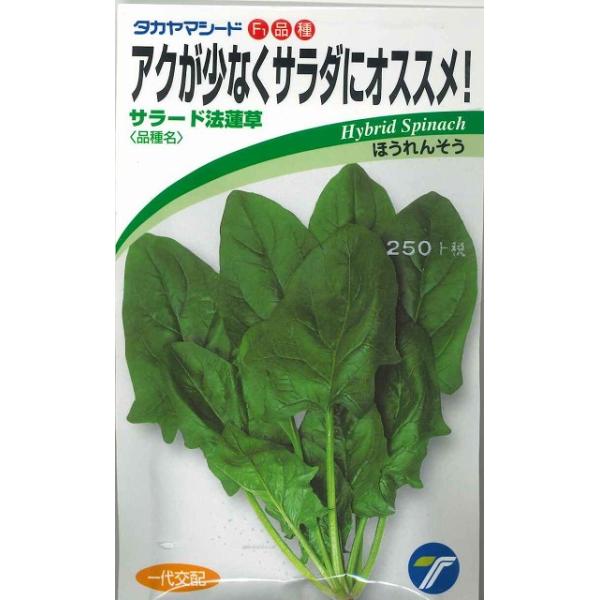 ق񂻂 T[h 1dl ij^J}V[h