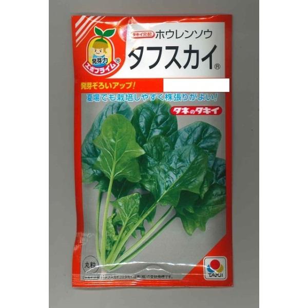 ق񂻂 ^tXJC 40ml ^LCcij RF