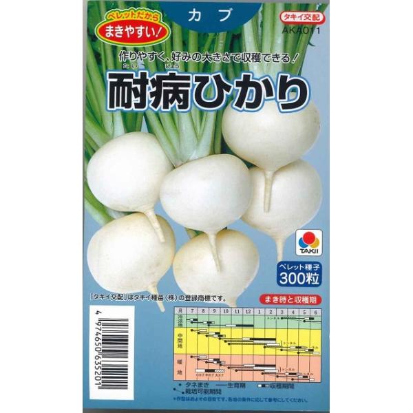 かぶ 耐病ひかり ペレット300粒 タキイ交配 :20200731:グリーンロフトネモト - 通販 - Yahoo!ショッピング