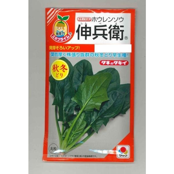 ق񂻂 Lq 40ml ^LCcij RF