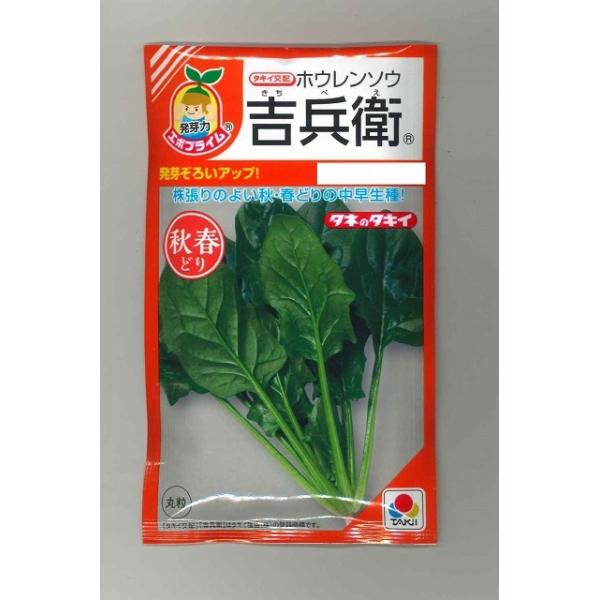 ق񂻂 gq 40ml ^LCcij RF