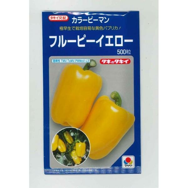 s[} J[s[} t[s[CG[ 500 ^LCcij