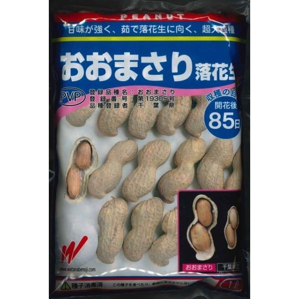 種 落花生の人気商品 通販 価格比較 価格 Com
