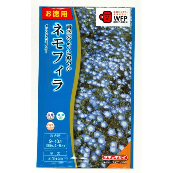 ネモフィラ 苗 みんな探してる人気モノ ネモフィラ 苗 Cd 音楽ソフト チケット