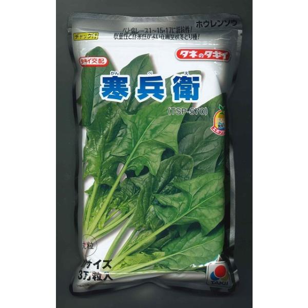 ق񂻂 q 3(qTCY:M) ^LCcij