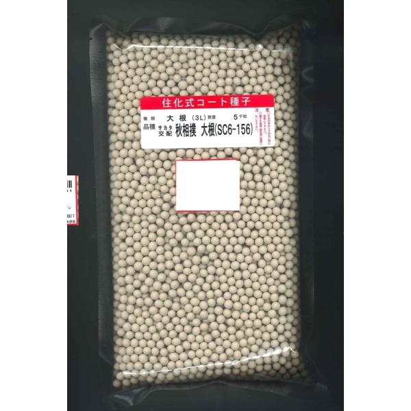 卪 Ho ybgq5000 ijTJ^̃^l