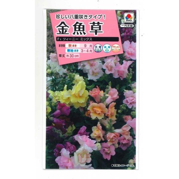 Ԃ̎  cC[j[~bNX  ^LCcij(mL300)