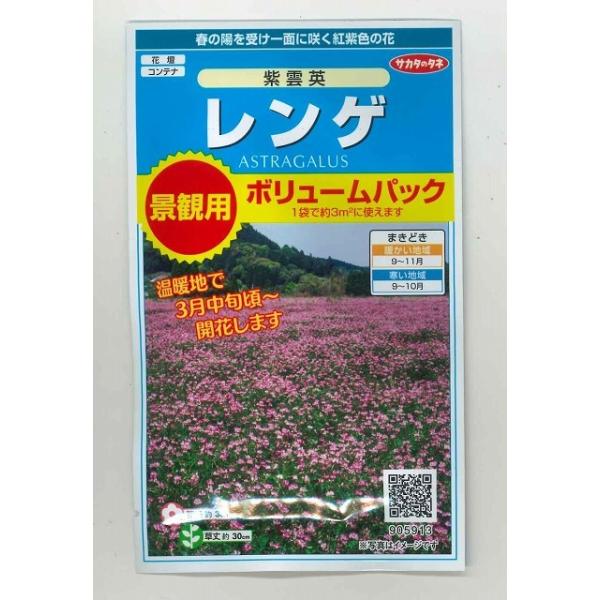 Ԃ̎ Q _p 3ėp ijTJ^̃^l 350(026181)