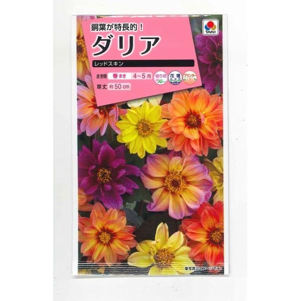 花の種 ダリア レッドスキン 約40粒 タキイ交配 Nl300 グリーンロフトネモト 通販 Yahoo ショッピング