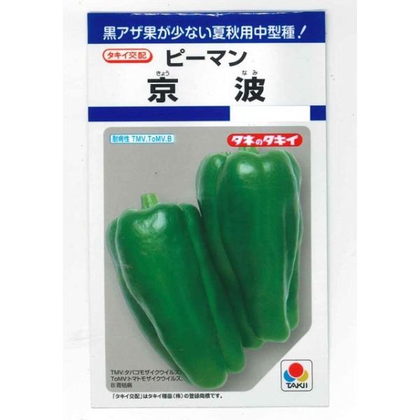 野菜種　ピーマン　京波夏秋栽培用で黒アザ果が少ない中型種！種・苗・農業資材品揃え豊富！農家さん御用達のお店　グリーンロフトネモト