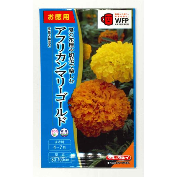 花の種 お徳用パック アフリカンマリーゴールド 高性大輪混合 タキイ種苗 Nl500 グリーンロフトネモト 通販 Yahoo ショッピング