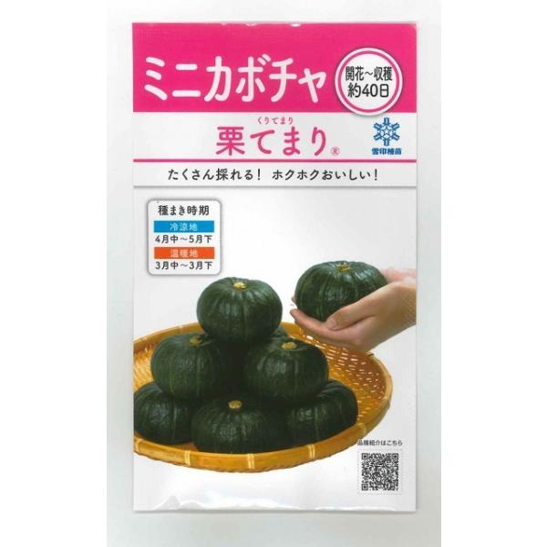 ڂ IĂ܂ 8ml(16) cij