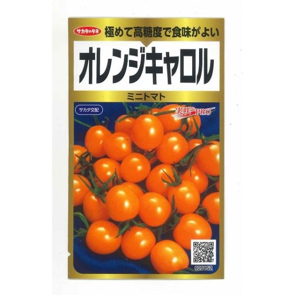 ~jg}g IWL 40 ijTJ^̃^l PRO