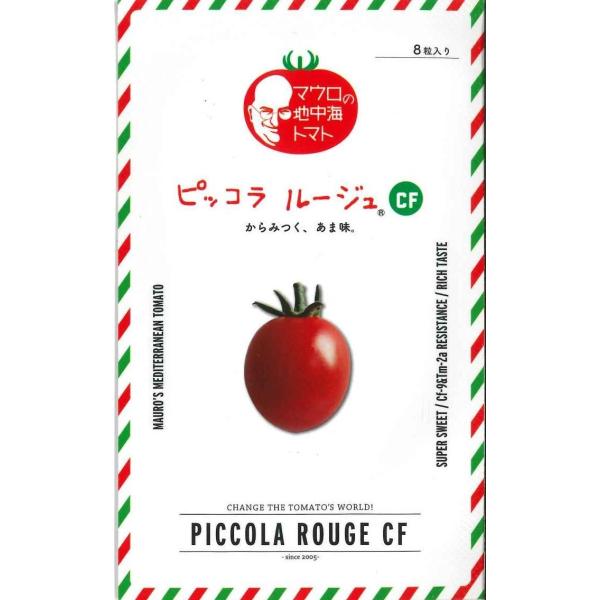 ~jg}g sbR[WCF 100 @TiebNV[hij