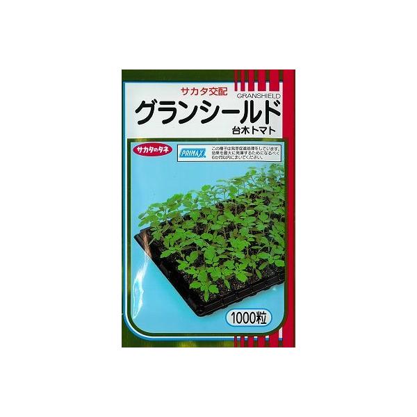 (g}gp) OV[h 1000ijTJ^̃^l