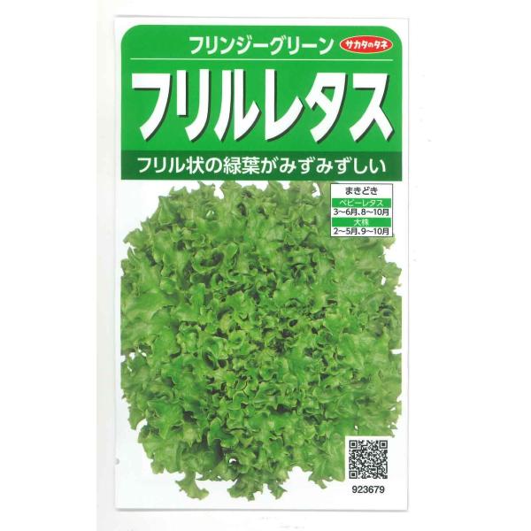 野菜種　レタス　　フリンジーグリーン（フリルレタス）フリル状の緑葉がみずみずしい！種・苗・農業資材品揃え豊富！農家さん御用達のお店　グリーンロフトネモト