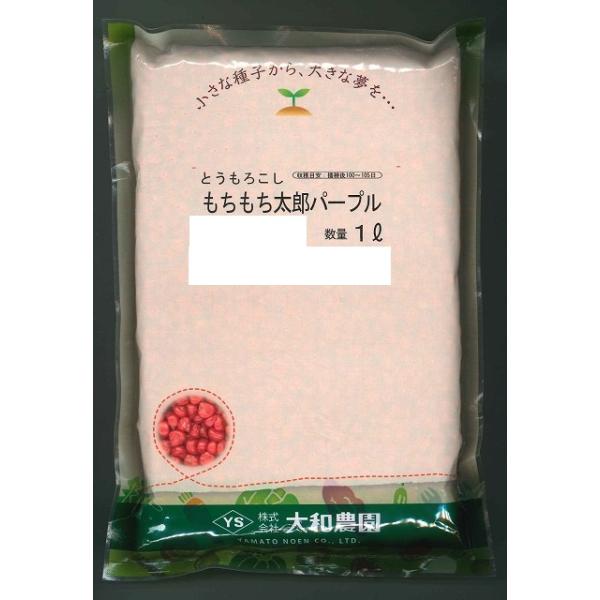 もちもち太郎パープルモチモチ食感！新感覚のトウモロコシが登場種・苗・農業資材品揃え豊富！農家さん御用達のお店　グリーンロフトネモト